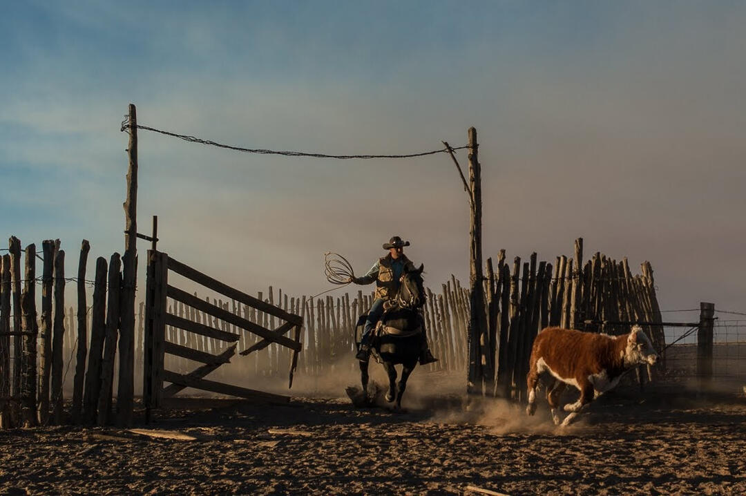 Scene from Cowboys. The documentary opened the 2021 season of Frame of Mind on KERA TV.